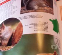 Livres Molenbeek-Saint-Jean - Photos Vivastreet La vie cachée des sous-bois